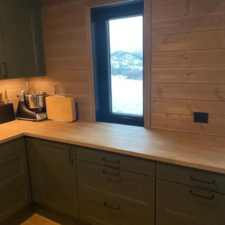 New At Fidjeland With Ski-in Ski-out Dirdal